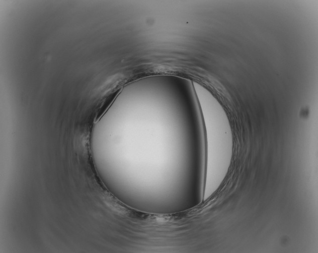 X0000091480329200708161153