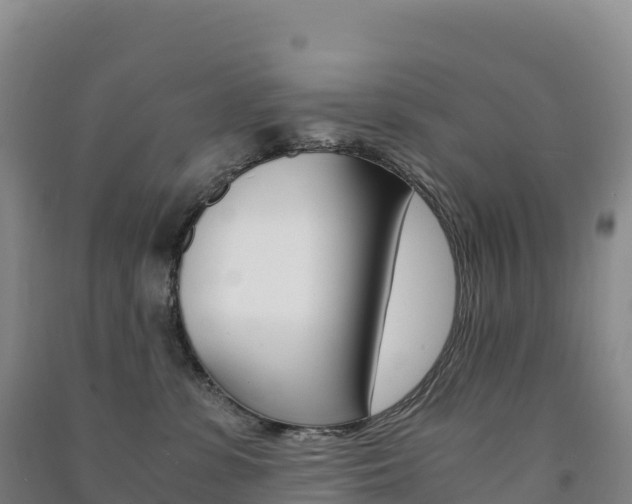 X0000091480331200708161153