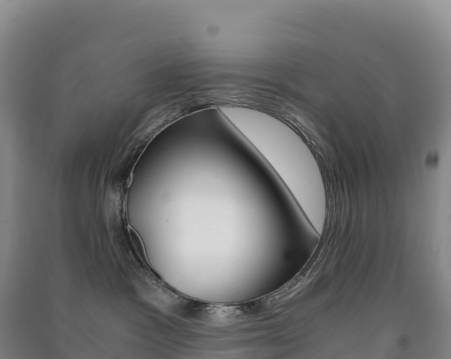 X0000091480333200708161153