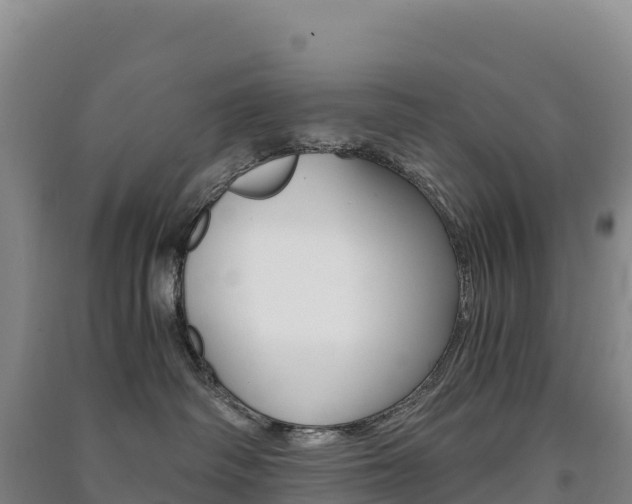 X0000091480334200708161153