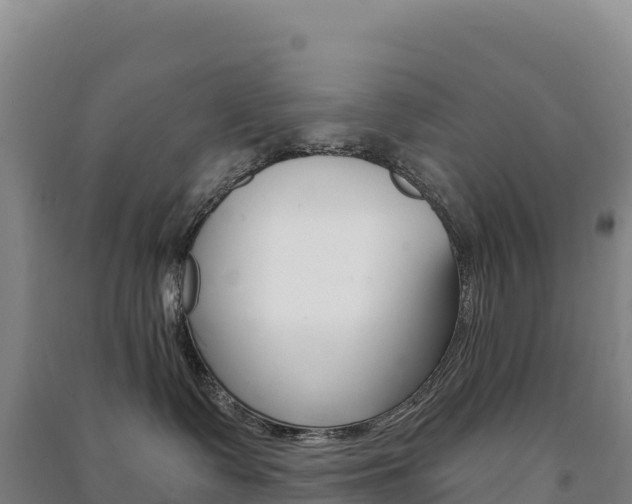X0000091480335200708161153