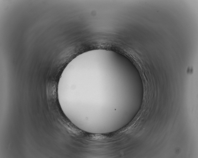X0000091480336200708161153