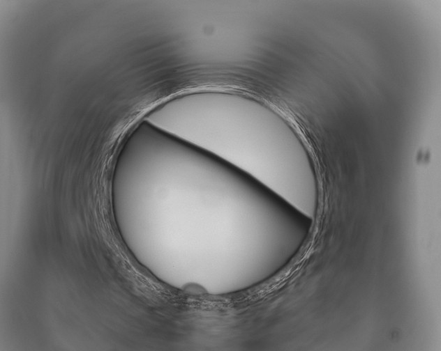 X0000091480337200708161153