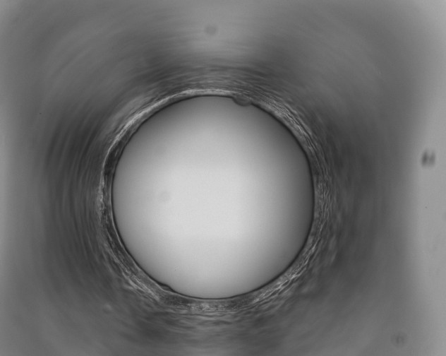 X0000091480338200708161153