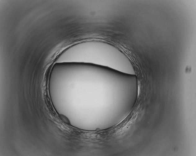 X0000091480339200708161153