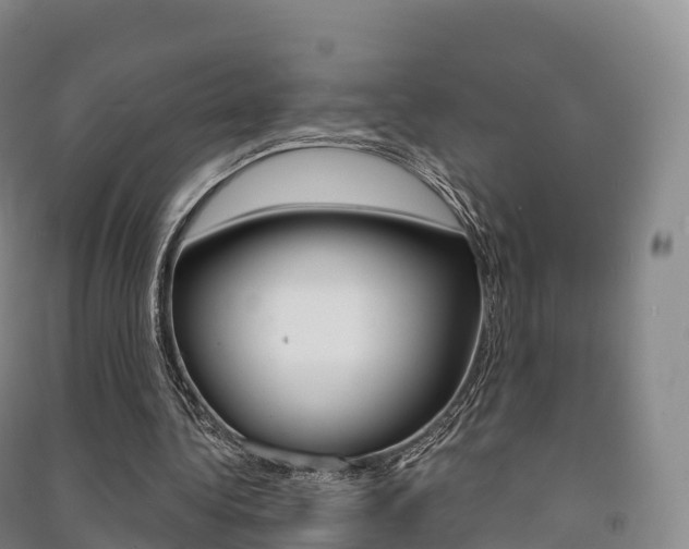 X0000091480340200708161153