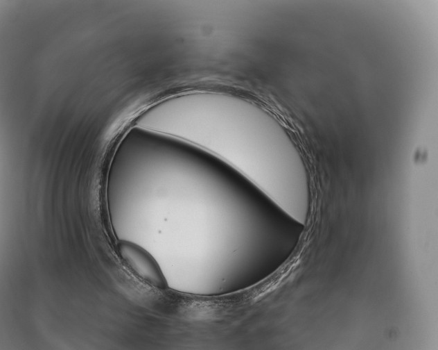 X0000091480341200708161153