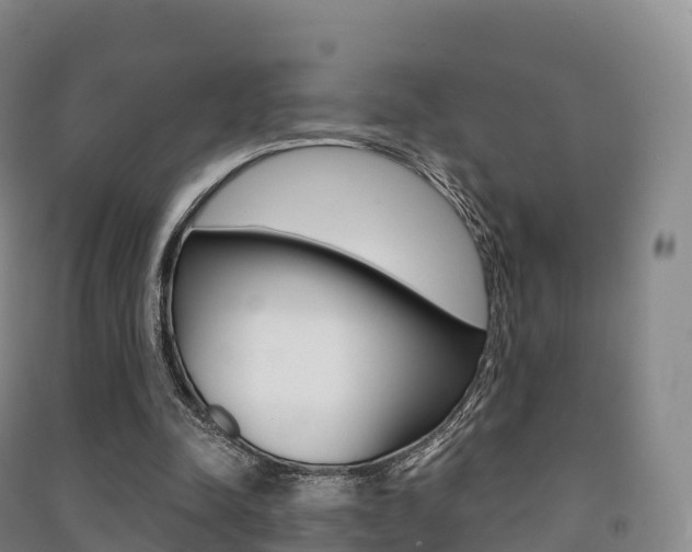 X0000091480342200708161153