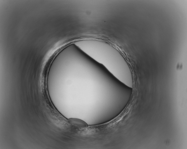 X0000091480343200708161153