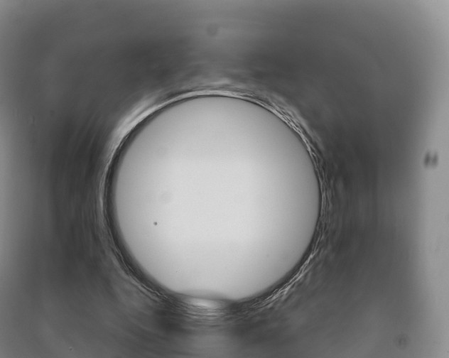 X0000091480344200708161153