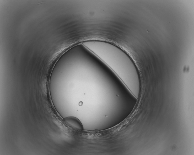 X0000091480345200708161153