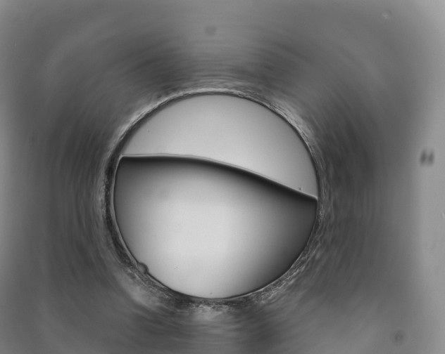 X0000091480346200708161153