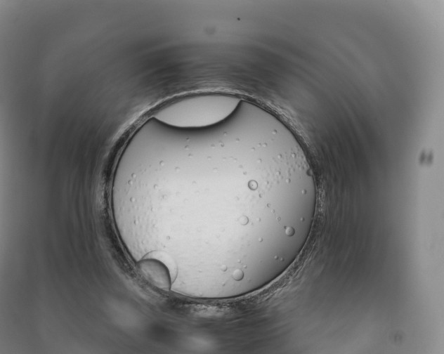 X0000091480347200708161153