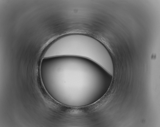 X0000091480348200708161153