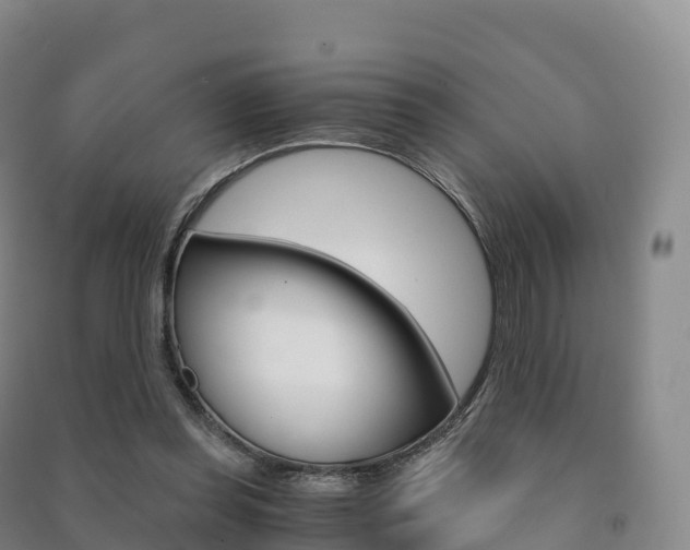 X0000091480349200708161153