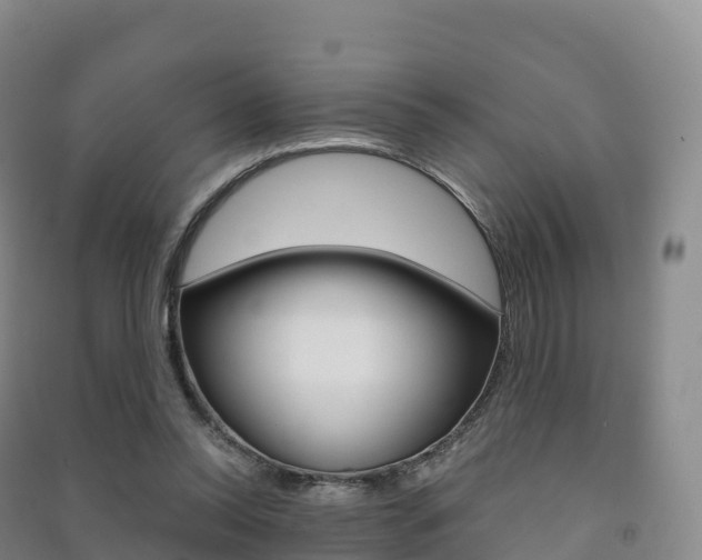X0000091480350200708161153