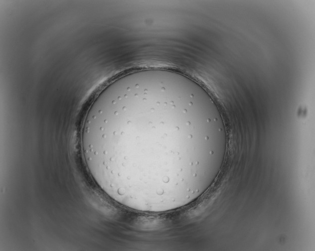 X0000091480351200708161153