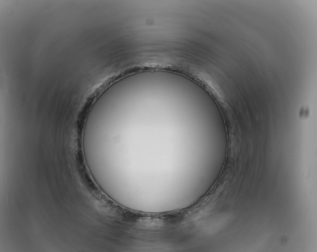 X0000091480354200708161153