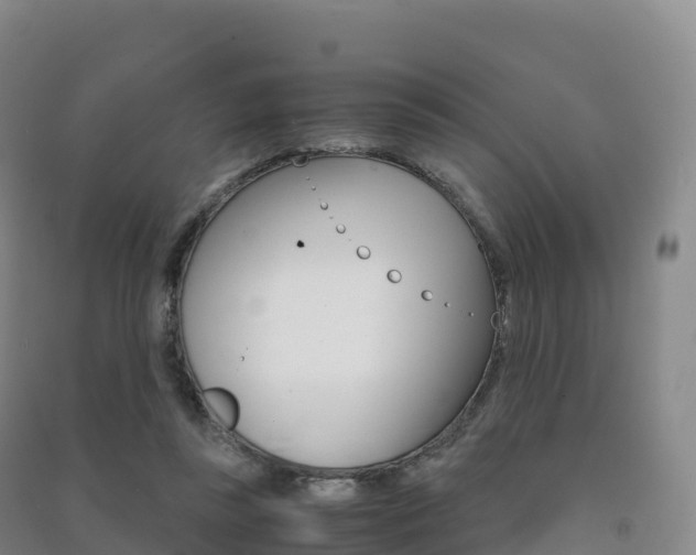 X0000091480355200708161153