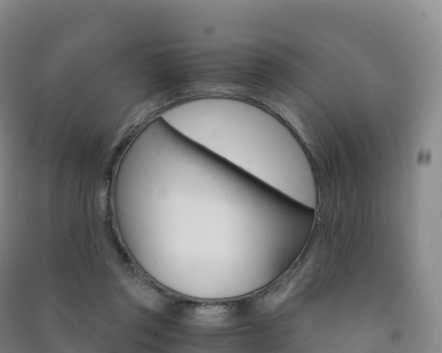 X0000091480357200708161153