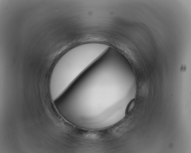 X0000091480358200708161153