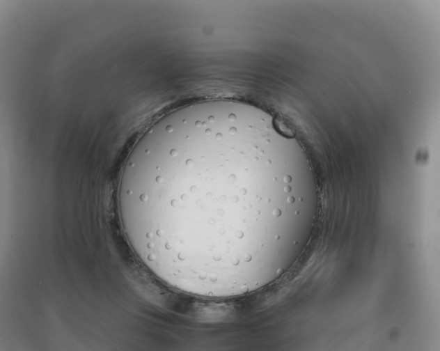 X0000091480359200708161153