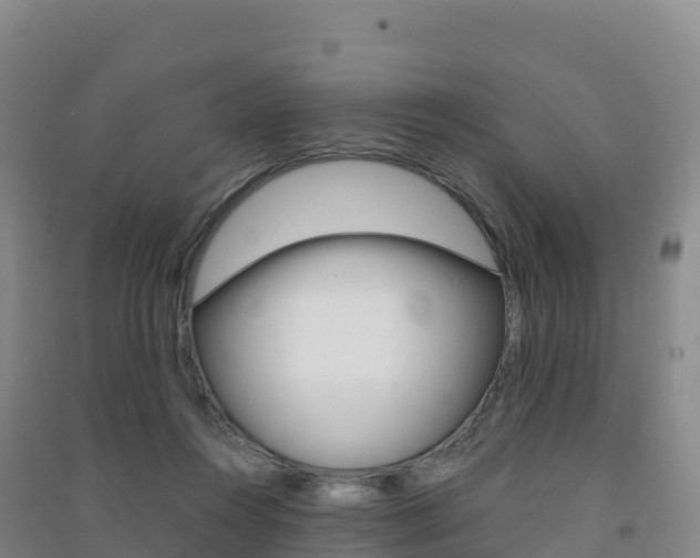 X0000091480360200708161153