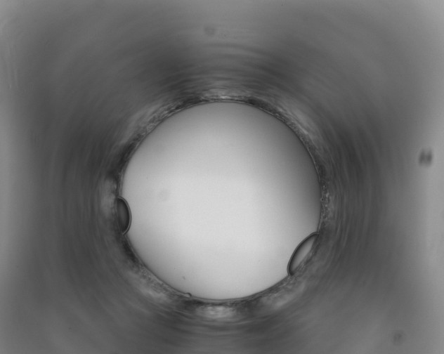 X0000091480361200708161153