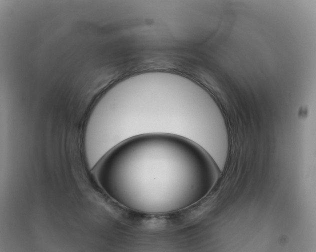 X0000091480362200708161153