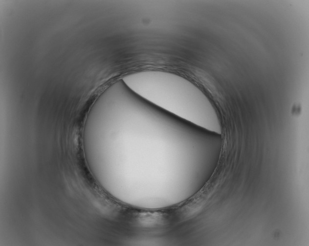 X0000091480363200708161153