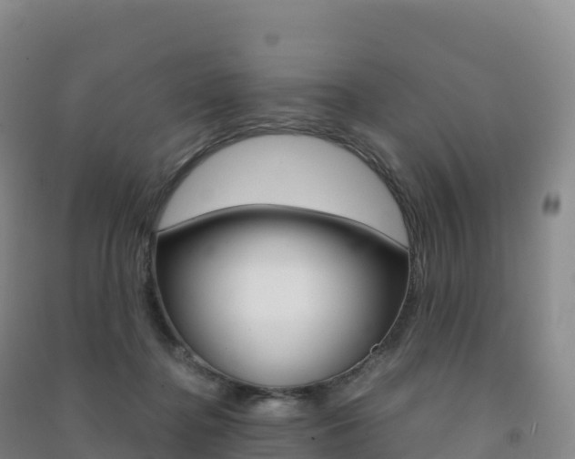 X0000091480364200708161153