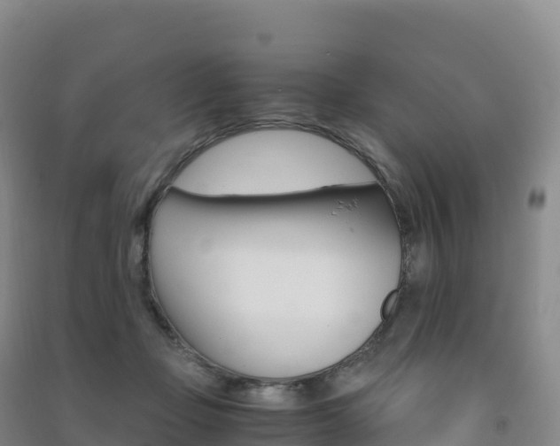 X0000091480365200708161153