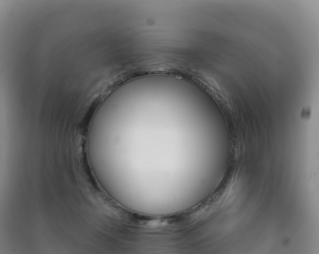 X0000091480366200708161153