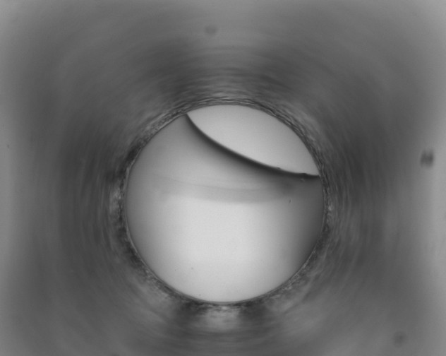 X0000091480369200708161153