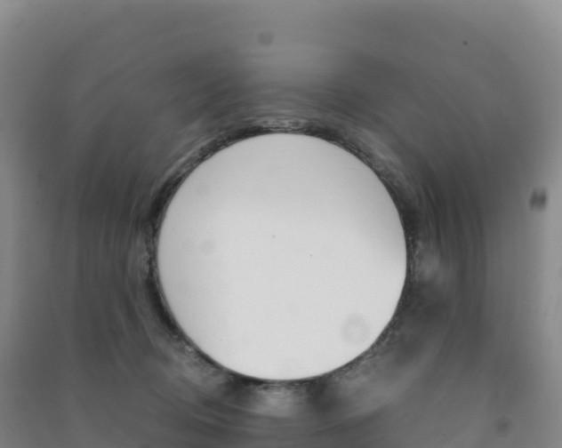 X0000091480370200708161153