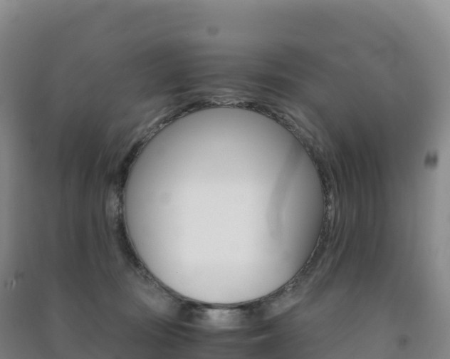 X0000091480371200708161153