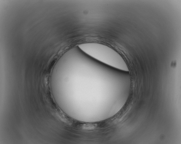 X0000091480373200708161153