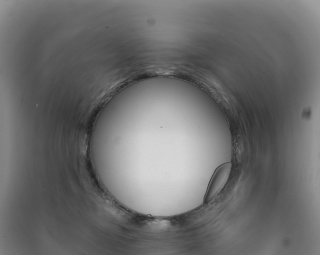 X0000091480374200708161153