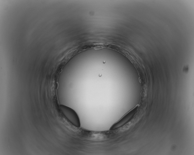 X0000091480376200708161153
