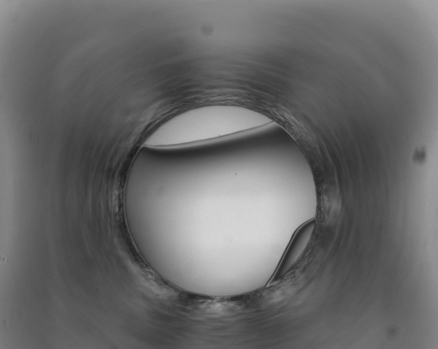 X0000091480379200708161153
