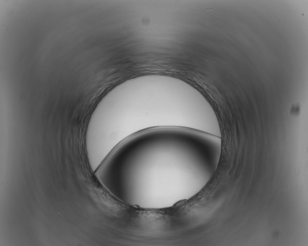 X0000091480380200708161153