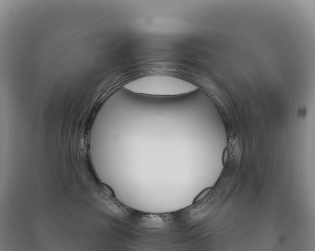 X0000091480381200708161153