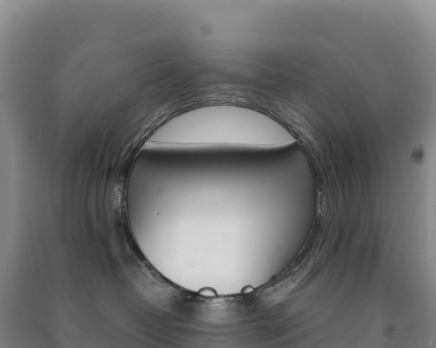 X0000091480382200708161153