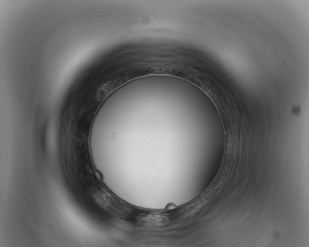 X0000091480383200708161153