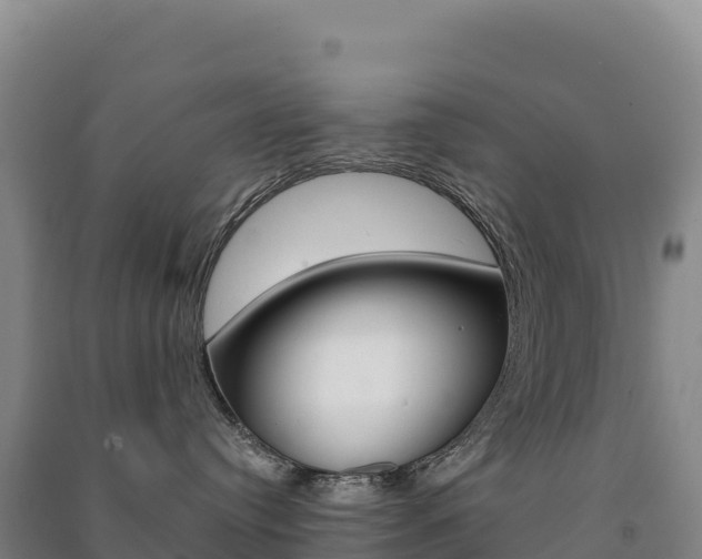 X0000091480384200708161153