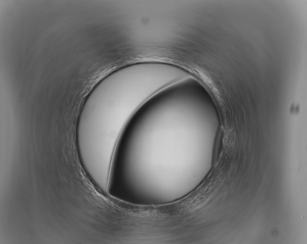 X0000091480385200708161152
