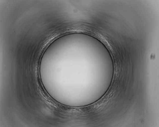 X0000091480386200708161152