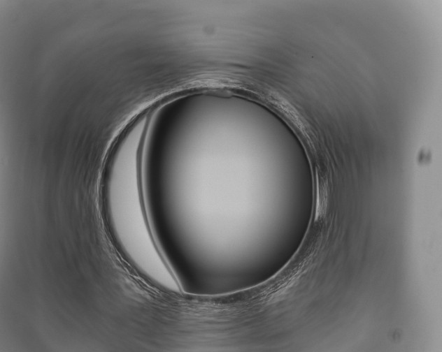 X0000091480387200708161152