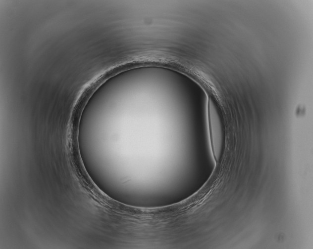 X0000091480388200708161152