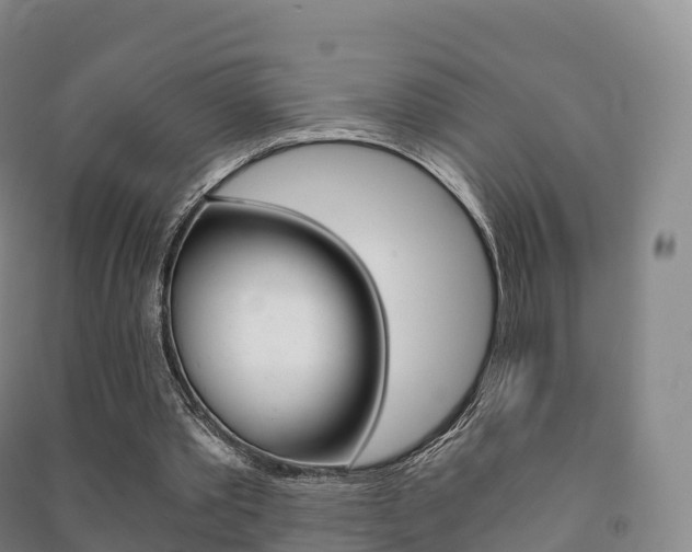X0000091480389200708161152